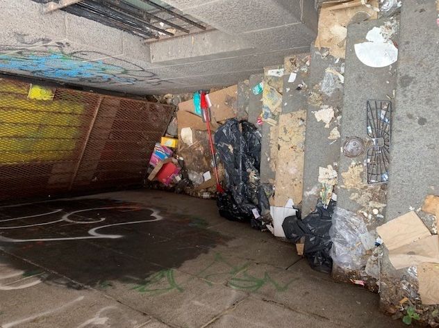 Emergency Biohazard Remediation — Outdoor Stairwell